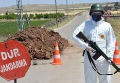 Siverek'te alarm! Köpek 3 kişiyi ısırınca ortaya çıktı! 6 ay süreyle karantina uygulanacak
