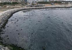 İskenderun'da endişelendiren görüntü: Deniz çekildi