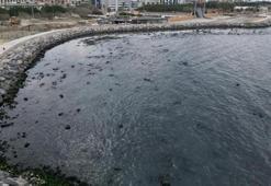 İskenderun'da endişelendiren görüntü: Deniz çekildi