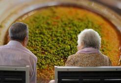 Japonlar bizden 8 yıl önde! Künefeyi seçen kaybeder: 'Biraz da Türk neşesi şart'