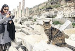 Efes’te ziyaretçi rekoru kırıldı