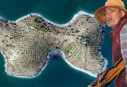 4 binden fazla ağaç ve meyve dikmişti! Tuncelili Robinson Ziya adasına gidemez oldu