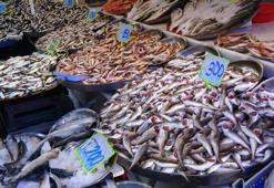 Deniz ısındı, hamsi ve palamut azaldı