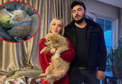 Böyle vicdansızlık görülmedi! Ayaklarını bağladı çöp konteynerine attı! İşte o anlar