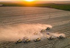 Tarım ÜFE ocakta aylık bazda arttı