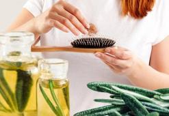 Kafanızdan bebek saçlar fışkıracak! Dökülmeye en sağlam çözüm, aslan yelesi gibi yapıyor