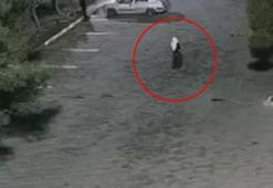 Kadın kıyafetiyle soygun! Suçüstü yakalandı