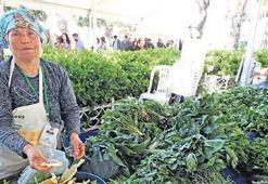Alaçatı Ot Festivali stant başvuruları başladı