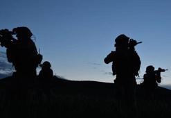 Gara bölgesinde 5 PKK'lı terörist öldürüldü