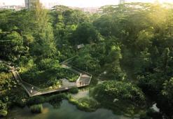 İstila Etmeyen Tasarımlar: Yeşil Geçişin Mimarlığı