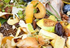 Toprağa bir iyilik yapın, çöp yerine bahçeye atın! Kabukları adeta coşturacak