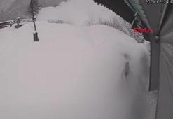 Ayder Yaylası'nda çığ düştü; o anlar kamerada