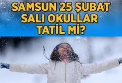 25 ŞUBAT SAMSUN OKULLAR TATİL Mİ EDİLDİ? Samsun Valiliği'nden kar tatili açıklaması geldi mi? İşte beklenen açıklama...