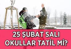 KAR TATİLİ HABERLERİ: OKULLAR TATİL Mİ? 25 Şubat Salı kar tatili olan iller ve ilçeler hangileri? İşte Valilik açıklamaları