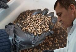 Türk bilim insanları laboratuvarda üretti: Yiyemedikleri hiçbir şey yok