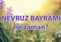 BU SENE NEVRUZ NE ZAMAN 2025? 🏵️ Nevruz Mart ayının kaçında kutlanır? Nevruz Bayramı neden kutlanır?