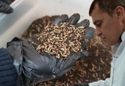 Türk bilim insanları laboratuvarda üretti: Yiyemedikleri hiçbir şey yok