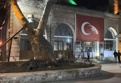 Korku dolu anlar! Tarihi caminin bahçesindeki 550 yıllık çınar ağacı devrildi