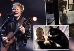 Dünya genelinde şubat ayında basına yansıyan "tuhaf" olaylar