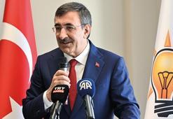 Cumhurbaşkanı Yardımcısı Yılmaz: Yurt dışında yaşayan insanlarımızla bağlarımızı çok kıymetli buluyoruz