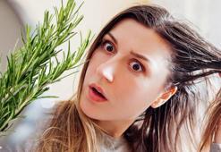 'Doğal çözüm' deniyor, biberiye yağı masum mu? Saçları kırık içinde bırakabilir