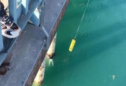 Köprüden atlayan kadına su altı polisi müdahale etti! Böyle kurtarıldı