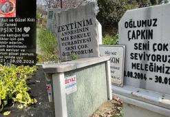 Sıra dışı mezarlık! 18 yıldır sessiz sedasız hizmet veriyor: Bukalemundan, tavşanına kadar...