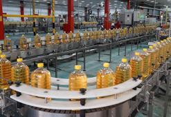Dünyanın ayçiçeği yağı talebini Türk ihracatçılar karşılıyor