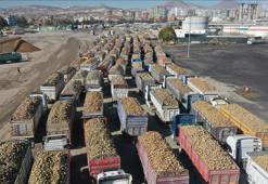 İklim değişikliği şeker üretimini olumsuz etkiledi