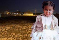 Konya'da 2 yaşındaki Rana, 10 köpeğin saldırısı sonucu öldü! Valilikten açıklama