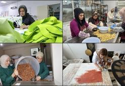 KOSGEB bu yıl işletme kurmak isteyen 8 bin 500 kadını destekleyecek