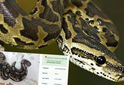 İnternette satıp Türkiye'nin her yerine otobüsle gönderiyorlar!