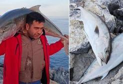 Amatör balıkçılar yakaladı! 65 kiloluk 2 balığı 18 bin TL'ye sattılar