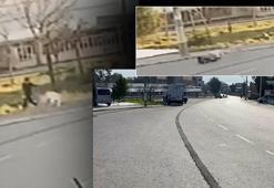 İzmir'de sokak köpeğinin saldırısına uğrayan çocuk yaralandı!