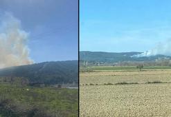 Çanakkale'de orman yangını! Müdahale sürüyor