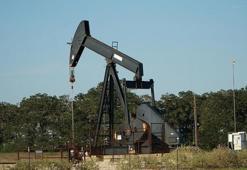 API petrol stokları artış gösterdi