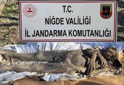 Niğde'deki mumya operasyonunda yeni detay! 1 yıl evde saklamışlar