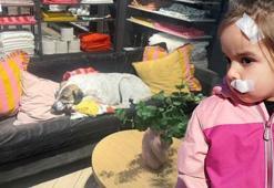 AVM’de sahipsiz köpek dehşeti! Minik Elif'i yüzünden ısırdığı anın görüntüsü ortaya çıktı