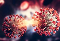Herpes Simpleks virüsü nedir, neden olur? Herpes Simpleks virüsü tedavisi var mı?