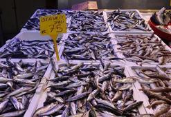 Türkiye'de balık avı sezonu 15 Nisan'da sona erecek