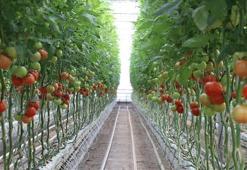 Sera Organize Tarım Bölgesi istihdama katkı sağlayacak