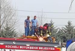 Temizlik yaparken kimyasal tankerinin içine düştü