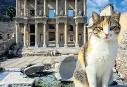 Tanrılıktan şeytanlığa…