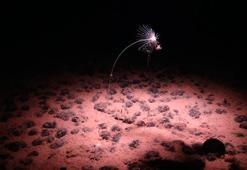 'Karanlık oksijen': Bilim insanlarını ikiye bölen derin deniz keşfi