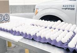 Meksika’dan ABD’ye yumurta kaçakçılığı