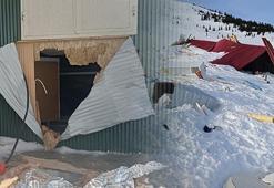 Aç ayılar 20 eve saldırdı: Her şeyi parçaladılar