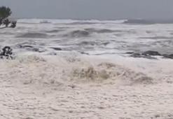 Avustralya'da köpük ve ölü balık alarmı: 2 plaj kapatıldı