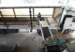 Devlet destek verdi: 10 ülkeye un ihraç ediyor!