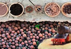 Çöle çeviren de yeşerten de kömür! Siyah toplar devrede: Buharlı trenin yarasını sarıyor