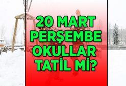 Okullar tatil mi ve kar tatili var mı? 20 Mart hangi il ve ilçelerde okullar tatil edildi?